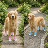 4 peças Malha Permeável Respirável no Cabedal Sapatos para Pet Respiráveis Calçado de Verão para Filhote Calçada Quente