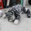 Gatto Peluche Elettrico Rotolante Con Suono Per Gioco e Intrattenimento dei Bambini