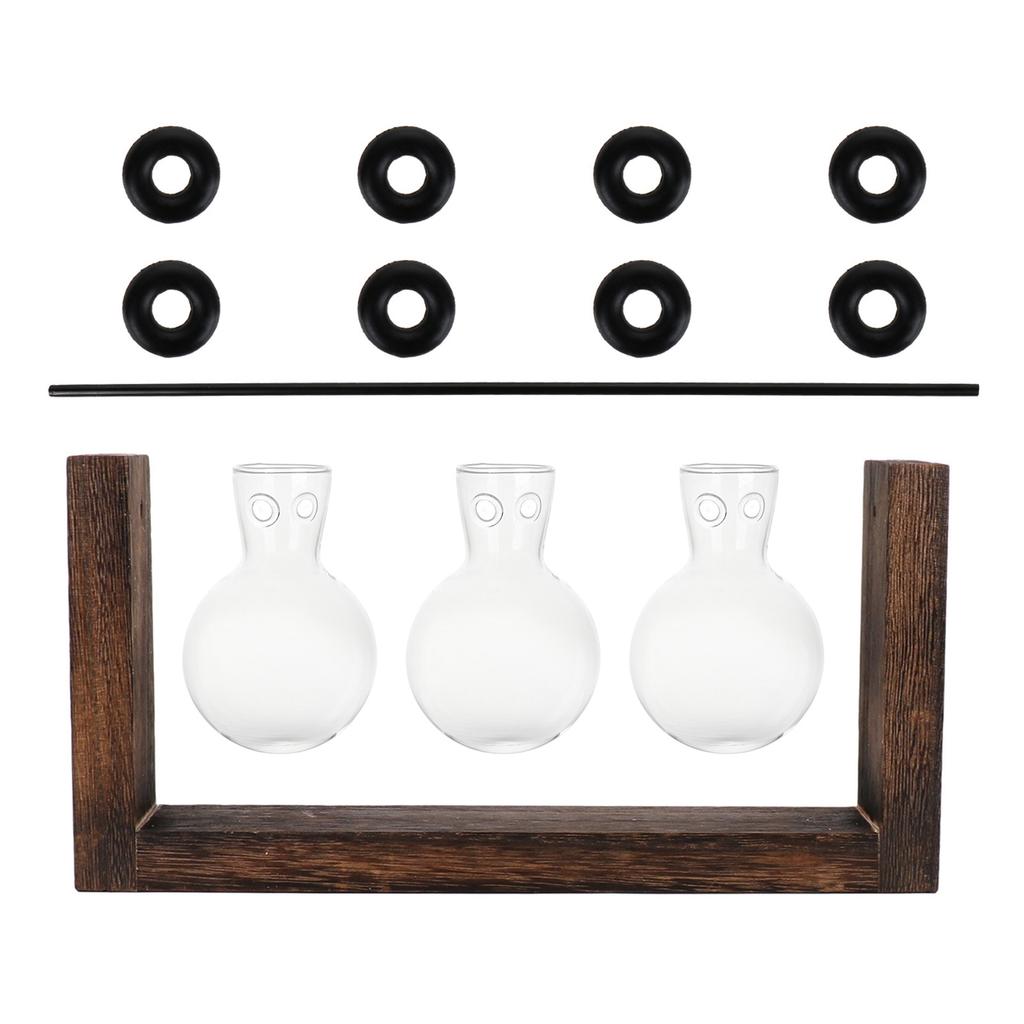 Hydroponic Vase Simple Decorative Glass Flower Vase Plant Terrarium with Wooden Stand