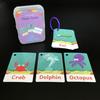27Pcs/20Pcs/30Pcs Baby Flash Card Thickened Eye Protection Improve Logic Early Learning Flash Card Animal Number Alphabet Card Kit for Newborn