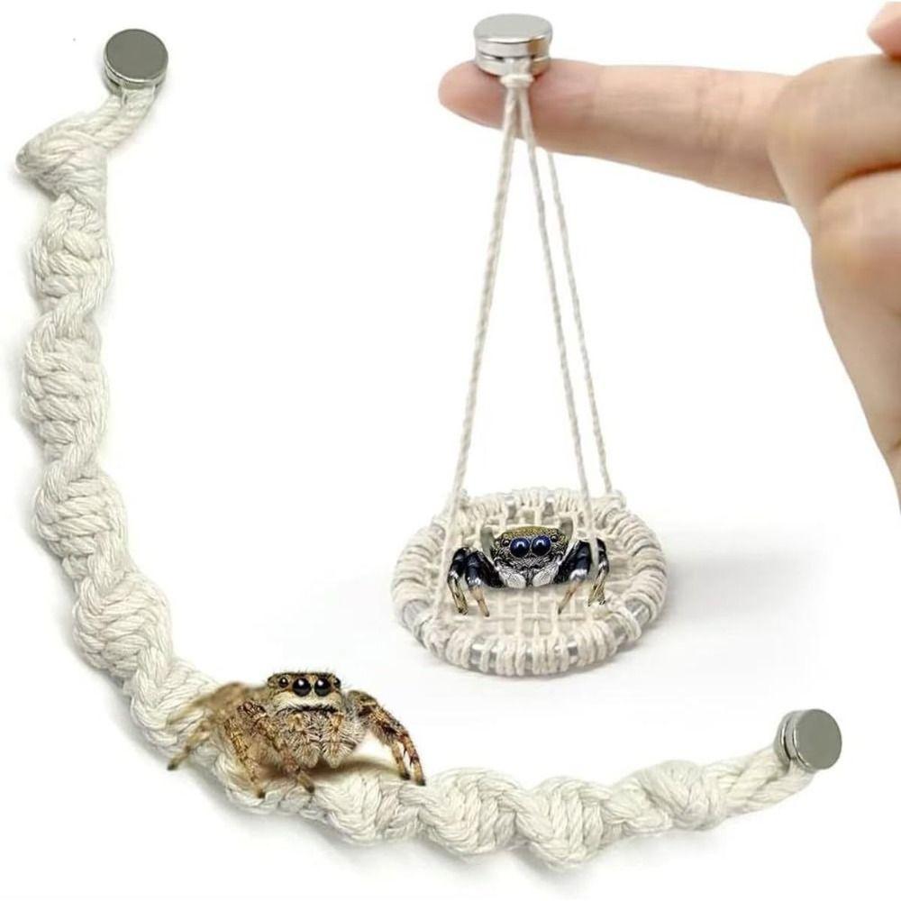 Handmade Jumping Spider Enclosure Hangable Hermit Crab Climbing Enclosure Pet Supplies