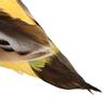 Garden Artificial  Ed Animal Ornament Simulation Oriole Bird Model Art Outdoor Decor