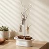 Plastic Tree Shape Jewelry Rack Space Saving Decorative Ring Earring Holder with Storage Box Jewelry Organizer Bedroom