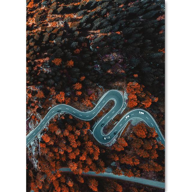 Vertical Board Beautiful Forest Scenery Modern Photo Painting Highway Winding Lines Wall Stickers HD Printing Art Decoration
