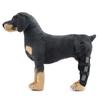 Dog Elbow And Knee Support Brace For Post Surgery Recovery And Joint Injury Stabilizer For Small Medium Large Dogs Home Care