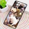 Crying Cat Memes Phone Case for Samsung Galaxy note 10 pro S26 Ultra S23 S24 FE S25 S21 S22 PLUS shockproof Cove
