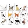 12Pcs Simulation Cat/Dog Figurine Realistic Miniature Cute Animal Figure Model PVC Solid