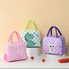 Aluminum Foil Insulated Lunch Bag Thickened Picnic Insulated Bag Practical Food Storage Bag  Picnic