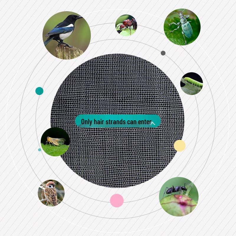 Obstbaum Insekten- & Vogelschutznetzbeutel - Einnetzen von Trauben, Feigen, Guaven & Erdbeeren