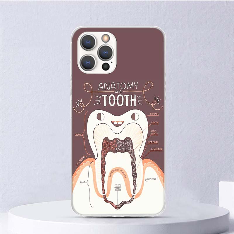 Wisdom Teeth Dentist Tooth Soft Case For iPhone 16 17 Air 16E 15 Plus 11 12 13 Mini 14 Pro Max Phone Cover Apple 7 8 SE Coque Fu