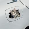 Creative and Personalized 3D Three-dimensional Kitten Car Sticker, Cute and Funny Cat Covering The Body, Rear Scratches and Scratches