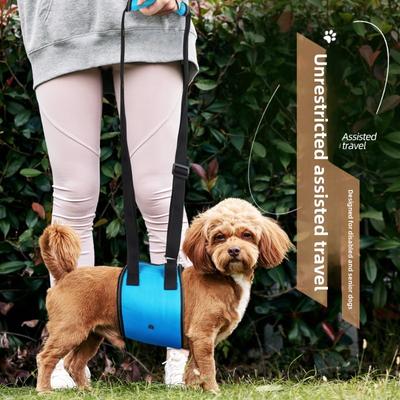 Laisses pour chiens, Chiens handicapés, Chiens âgés, Sangles de poitrine auxiliaires, Sangles de poitrine rétractables pour animaux de compagnie
