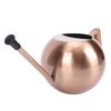 Watering Can with   Spout 1000ml Stainless Steel Round Indoor Plant Watering Can with Detachable Head for Home Garden Flower
