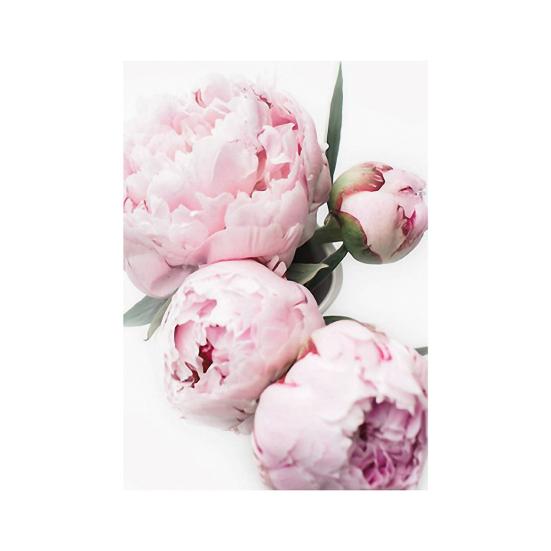 

Современный постер с картиной пионов, настенная картина, украшение для дома, спальни, гостиной 20*30