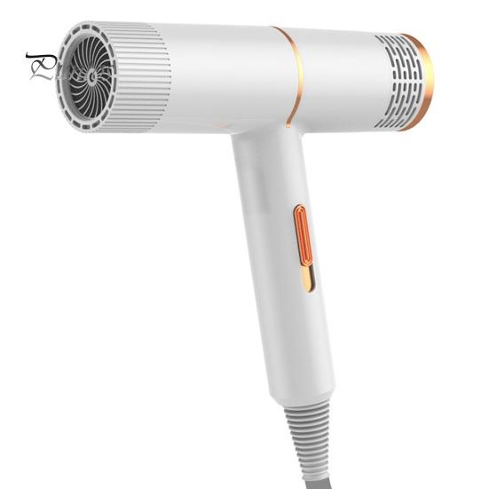 Uscător de păr de uz casnic cu lumină albastră de înaltă putere de 800 W Ioni negativi pentru îngrijirea părului Uscător de păr Femei Bărbați Uscător de păr pentru păr cu uscare rapidă și mut (Plug-in UE)