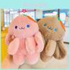 Adorable Plush Rabbit Carrot Keychain Cute Gift For Couples Available In Various Colors