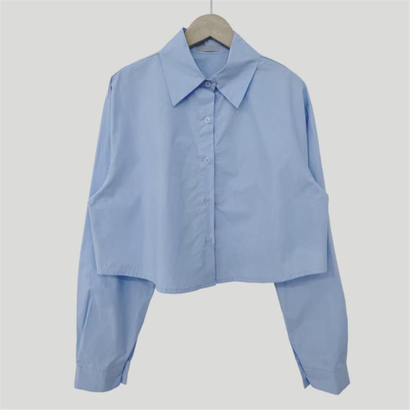 Simple Casual Basic Shirt Design Sense Short Lapel Commuter Loose Shirt Long-sleeved Top Women