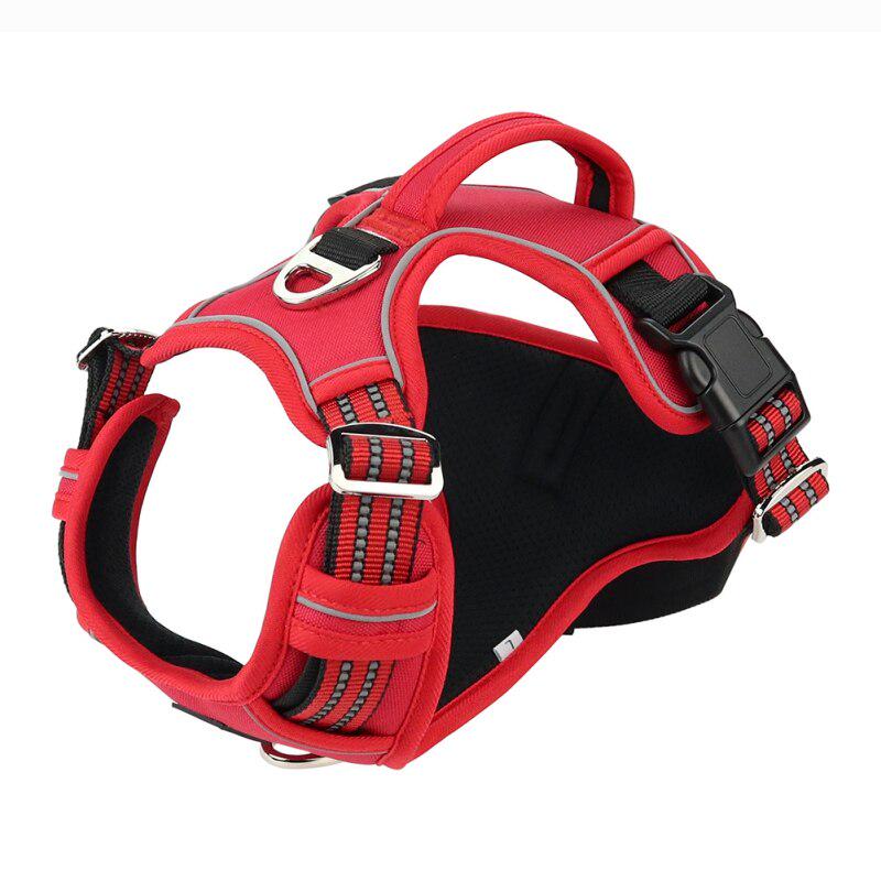 durable dog harness