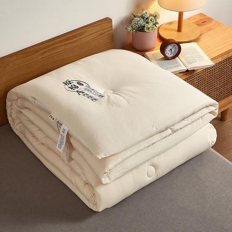 Good Sleep Cotton Soybean Fiber Winter Quilt