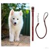 Pet Walking Training Dogs Leashes Medium Puppy Black,Brown
