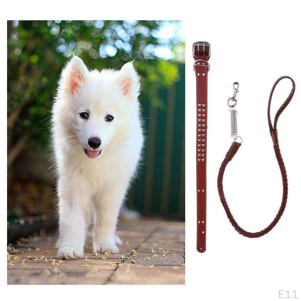 Pet Walking Training Dogs Leashes Medium Puppy Black,Brown