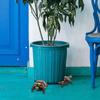 3Pcs/set Prevent Water Logging Small Animal Ornaments Animal Flower Pot Stand  Home Ornaments