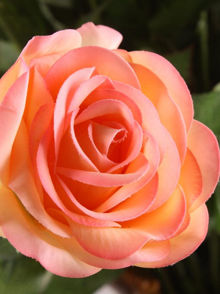 12 Stück Kunstseidenrosen, Kunstblumen, Bulk-Rosen, Blumenarrangement, Blumenstrauß für Zuhause, Hochzeit, Party, Garten, Brautdekoration