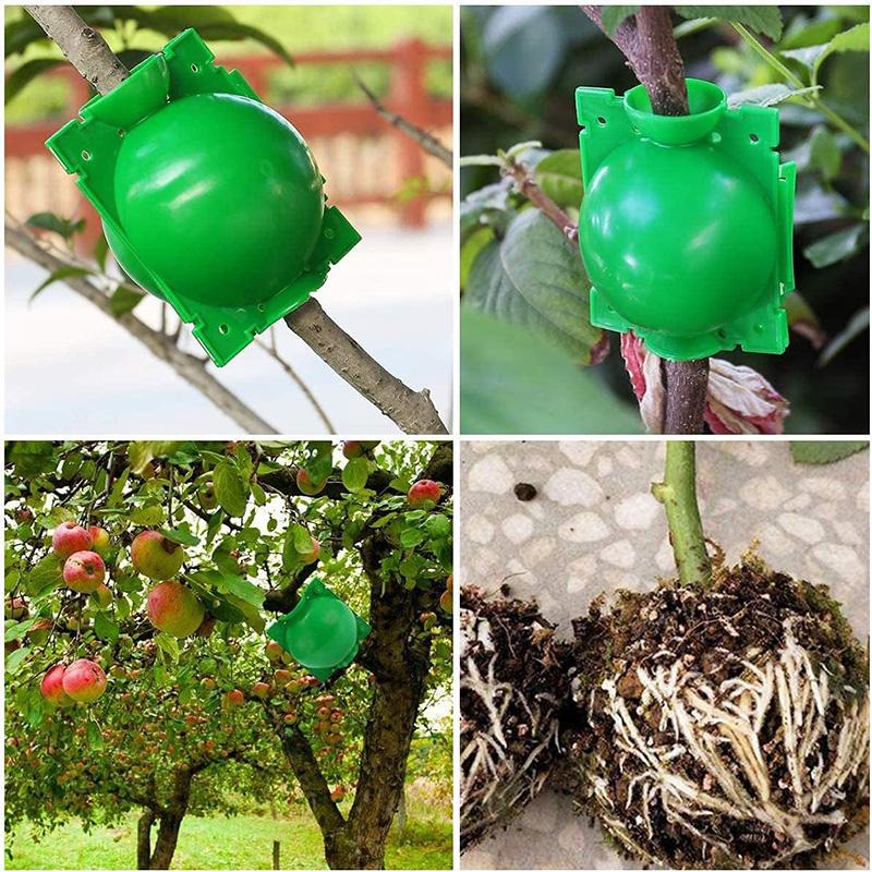 5pcs Plant Root Growing Box Garden Supplies Reusable Grafting Cultivation Tools Household High Pressure Propagation Ball TMZ