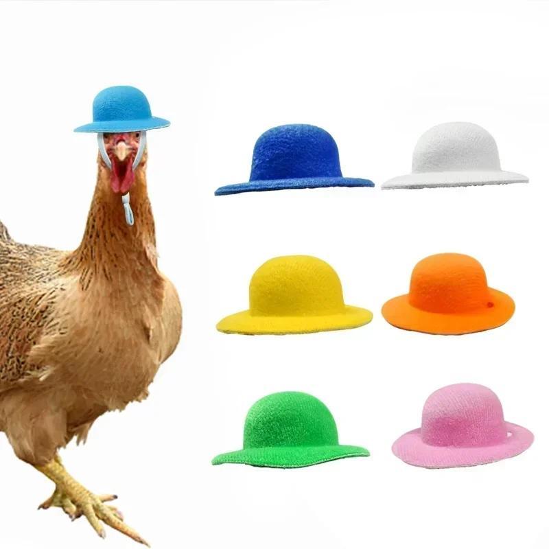 Hat for Hens Tiny Pets Chicken  Household Pets Head Decor Chicken Hen Top Hat for Rooster Duck Parrot Hamster Poultry