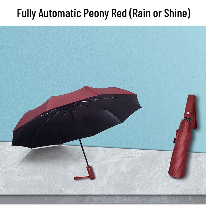 CADENO Automatic Folding Umbrella