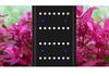 Welcome L Series WRGBUV Full Spectrum Light for Plant & Dragonfish Tanks