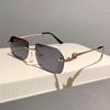 Vintage Trendy Rimless Irregular Sunglasses Women For Men Luxurious Brand Designer Steampunk Sun Eyeglasses Metal Material Leopard Shade UV400