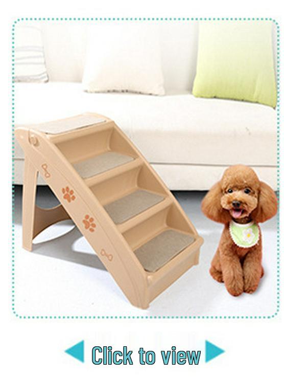 Portable Plastic Pet Carrier for Small/Medium Pets - Detachable Airline-Approved Transport Box