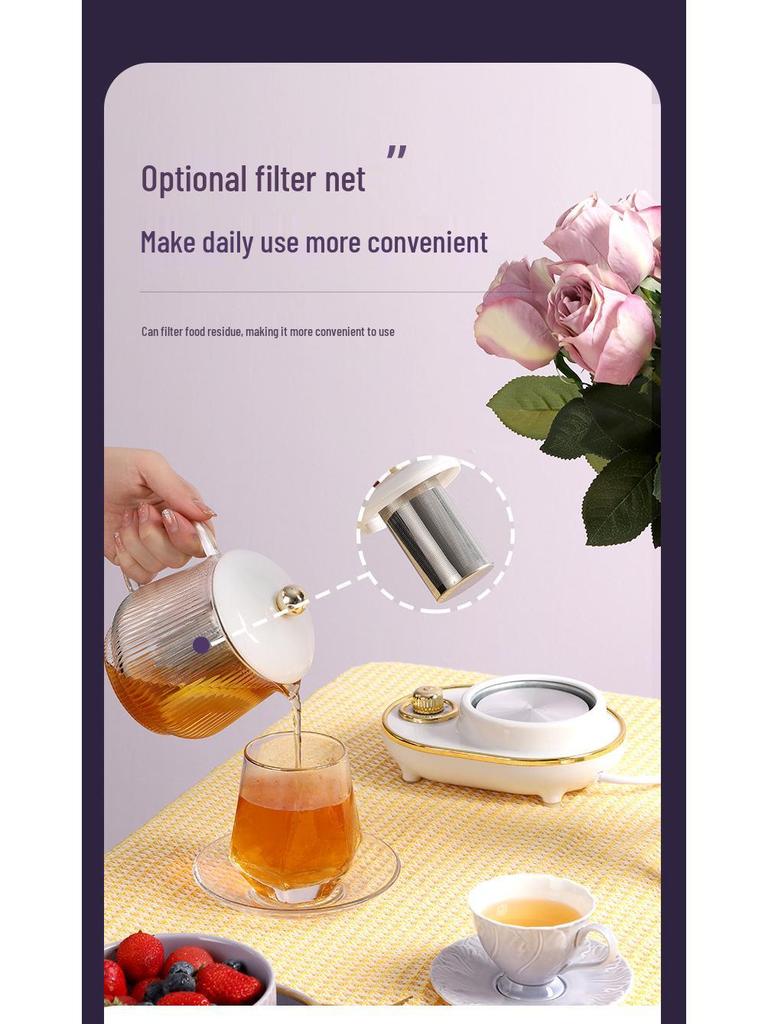 Electric Multifunctional Stew Cup & Kettle: Portable Boiling & Heating for Tea, Bird's Nest, and Health Drinks