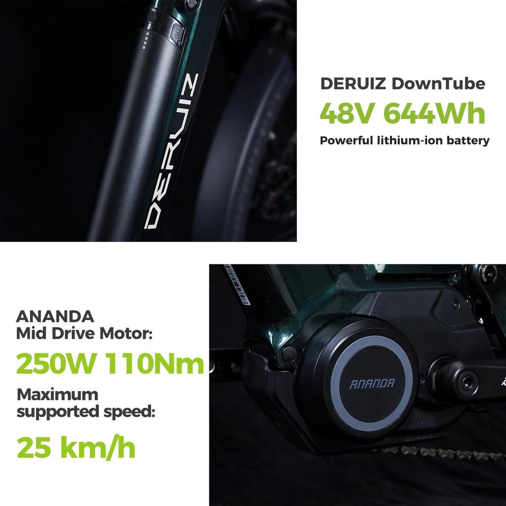 Electric Bicycle DERUlZ Lapis 27.5" E-Mountainbike with 250W 110Nm Mid-Drive Motor, 48V Battery,10 Speed ,,Max Range 161Km Load 150kg