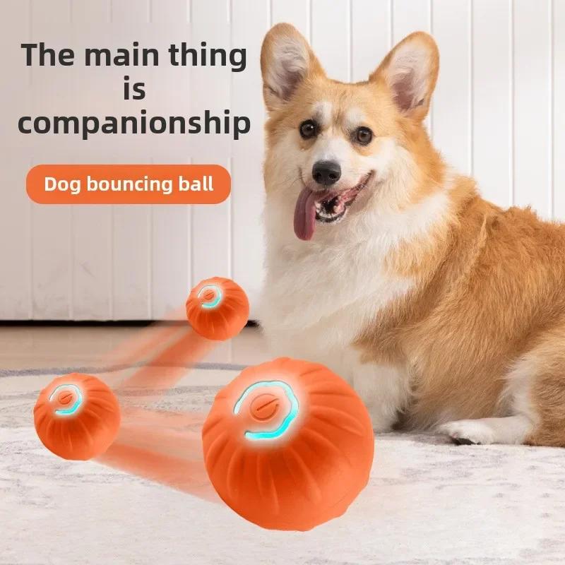 Intelligente Interaktive Hundeballspielzeuge Hüpfender Rollender Schwerkraftball Für Haustiertraining Plüsch Kauspielzeug Für Welpen Kleine Große Hunde