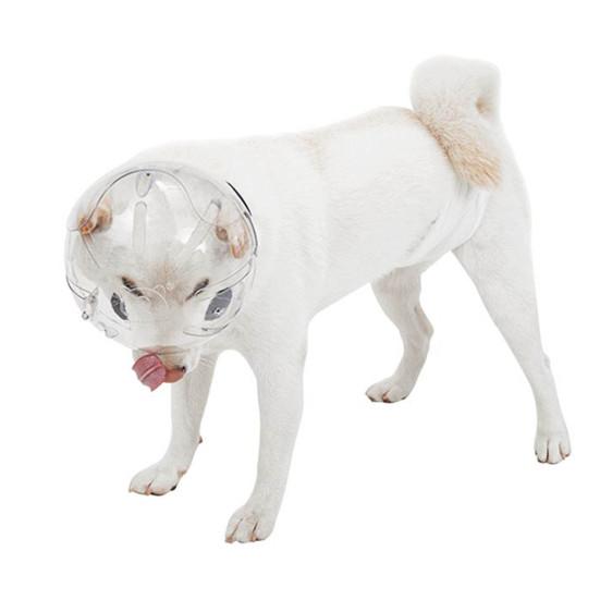 Pet Hood Anti-bite Breathable Adjustable Cat Muzzle Comfortable Transparent Cats Dogs Helmet Pet Supplies