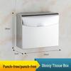 Drui'en Stainless Steel Waterproof Toilet Paper Dispenser