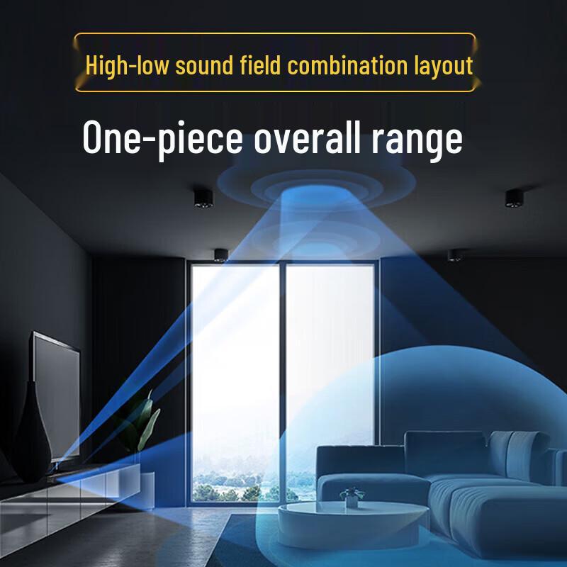 Newman AK-600pro Wireless Home Theater Karaoke Soundbar