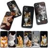 Cat Meow Phone Cover Case for Xiaomi Redmi Note 14 12 13 ProPlus A4 A3 Pro Plus 12C 13C 14C 5G Casing