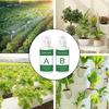 Hydroponic Nutrient Liquid Nutrient Succulents And Fruit Tree Natural Rooting Liquid Plant Nutrient Liquid Outdoor
