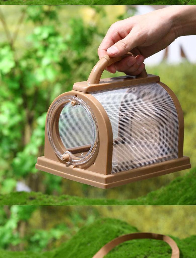 Children's Outdoor Exploration Bug Catching Kit with Net and Observation Box