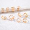 New Ins Wind Butterfly Metal Ring Set Personalized Leaf Geometric Ring Multi-piece Set
