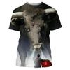 Superman Shirt for Men Enthusiasts 3D Printed Fitness T-shirt,