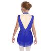 Girls Dance Costume - Shiny Rhinestone Leotard with Sheer Mesh, Invisible Back Zipper & Attached Tassel Skirt