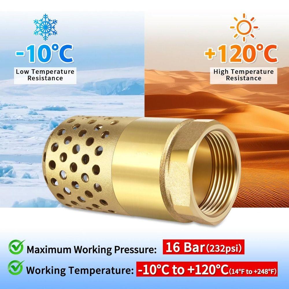 Brass Body Check Valve Hollow Perforated Water Strainer Foot Valve  Water Suction System