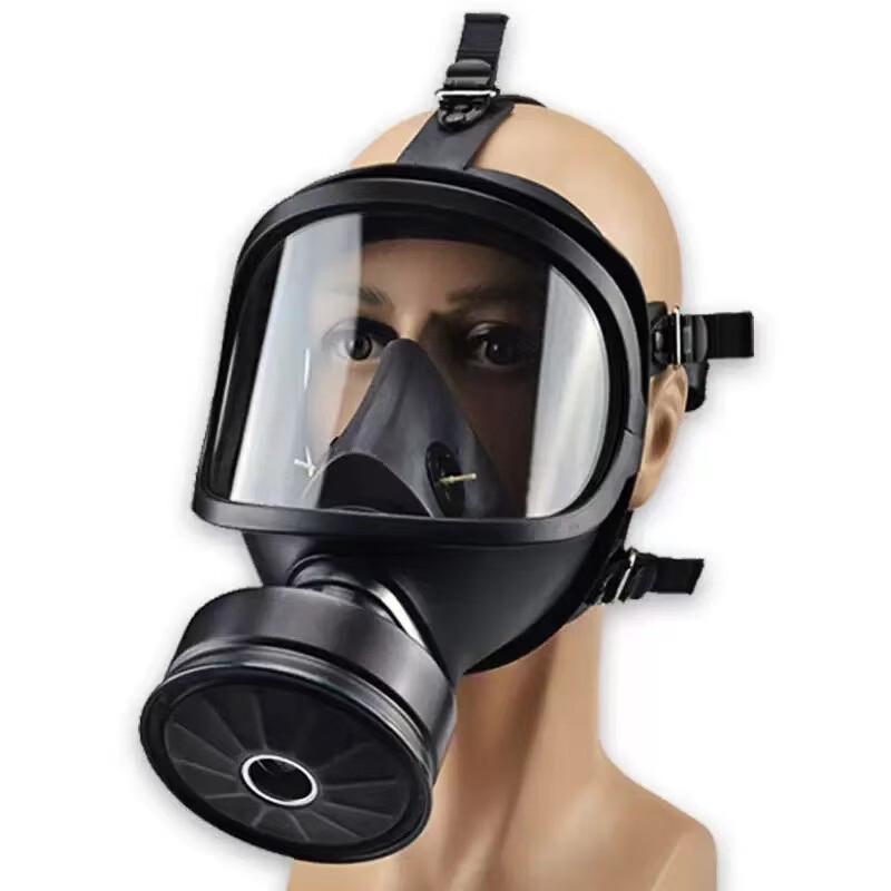 DAXTE Full Face Gas Mask