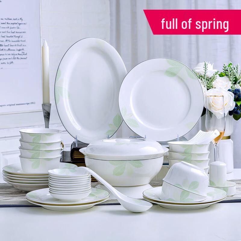 European Style Bone China Dinnerware Set
