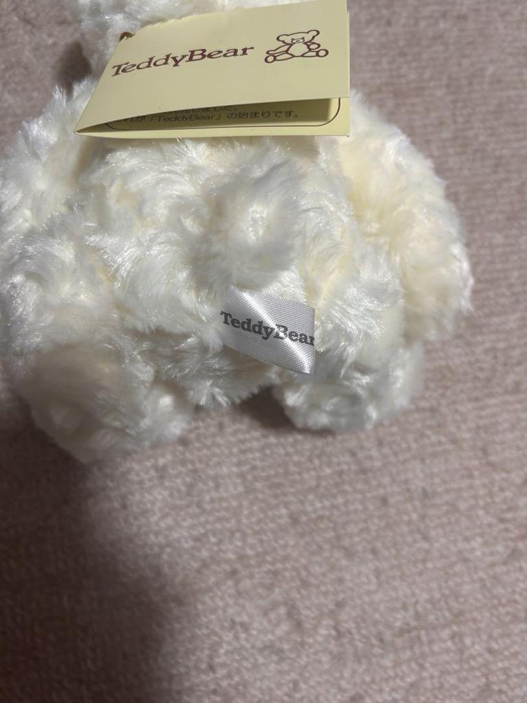 [USED] Teddy Bear