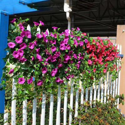 Artificial Petunia Flower Long-lasting Artificial Flower Elegant Artificial Morning Glory Flower for Home Office for Wedding